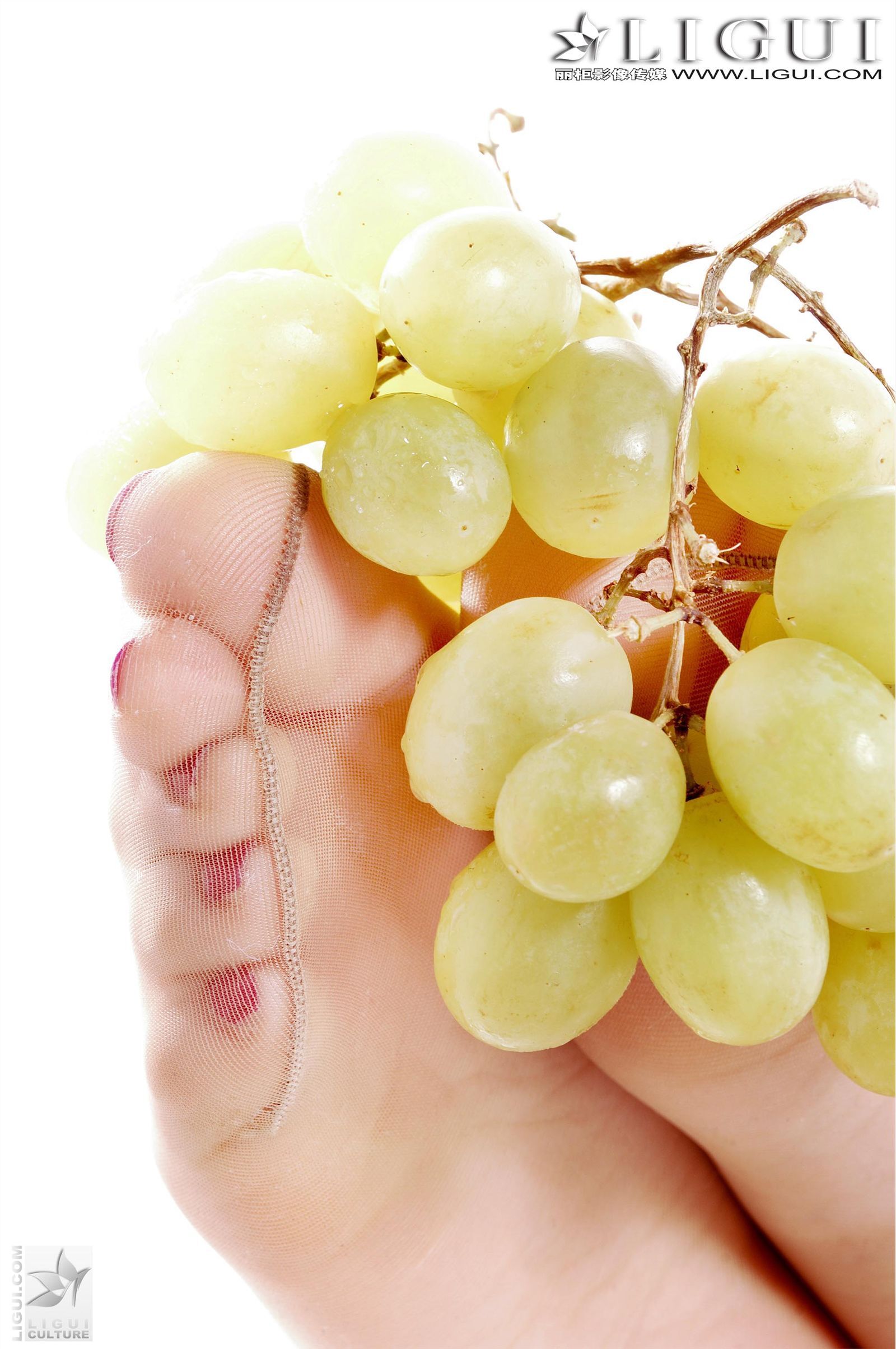 [Ligui丽柜]2012.09.20 Model 雯雯 国产性感美女图片